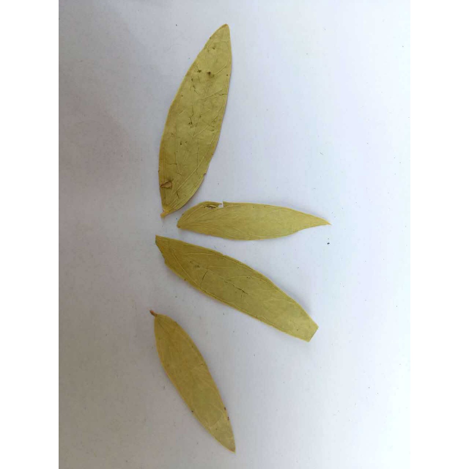 1kg lá phan tả diệp (hàng khô,sạch,đẹp)