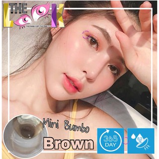 < MẪU MỚI CỦA THÁNG > CONTACT LENS MÀU GRAY ( XÁM KHÓI ) VÀ BROWN ( NÂU TRÀ SỮA ) - ÁP TRÒNG - CÓ ĐỘ