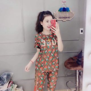 Combo 5 bộ thun lanh