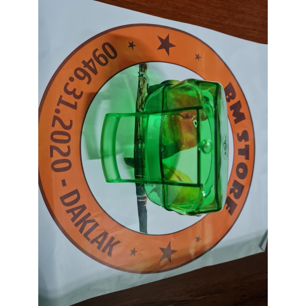 Cóng ăn chống vẩy hàng Ý loại dày