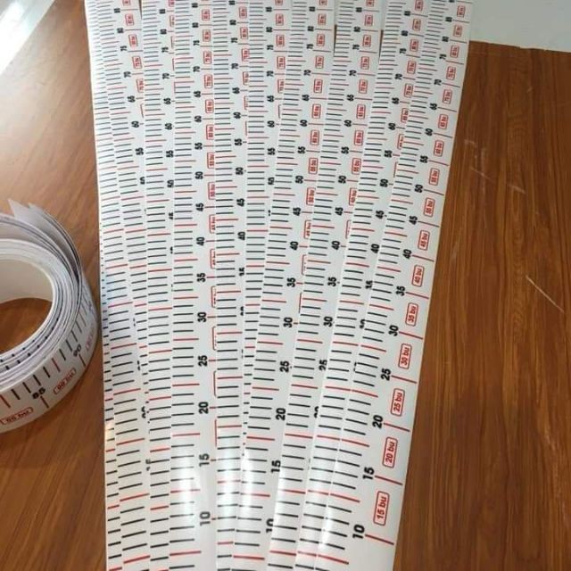 Thước decal đo cá Koi và các loài cá khác với chiều dài lên đến 100cm