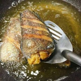 CÁ SẶC TRỨNG