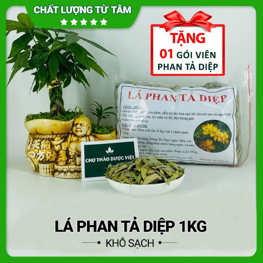 Phan tả diệp 1kg ( Lá phan tả diệp khô, thơm hỗ trợ nhuận tràng, giữ gìn vóc dáng) - Chợ Thảo Dược Việt