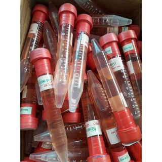 Kích mầm Keiki duy pro bôi trực tiếp