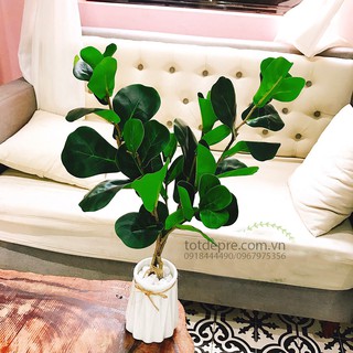 Cây Bàng Singapore 75cm - Cây giả cao cấp