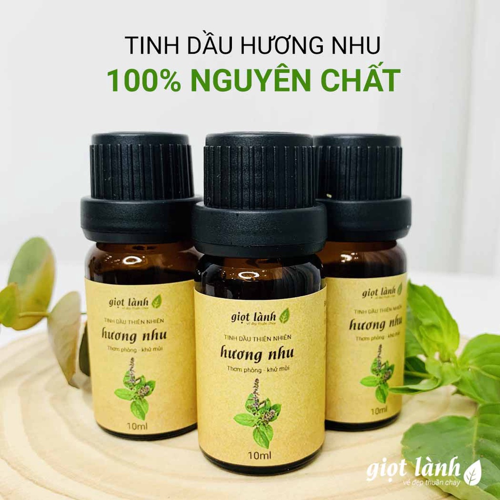 Tinh dầu Hương Nhu nguyên chất - Thơm phòng, thư giãn Giọt Lành 10ml - 50ml