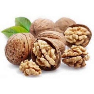 Hạt Óc Chó Nguyên Vỏ