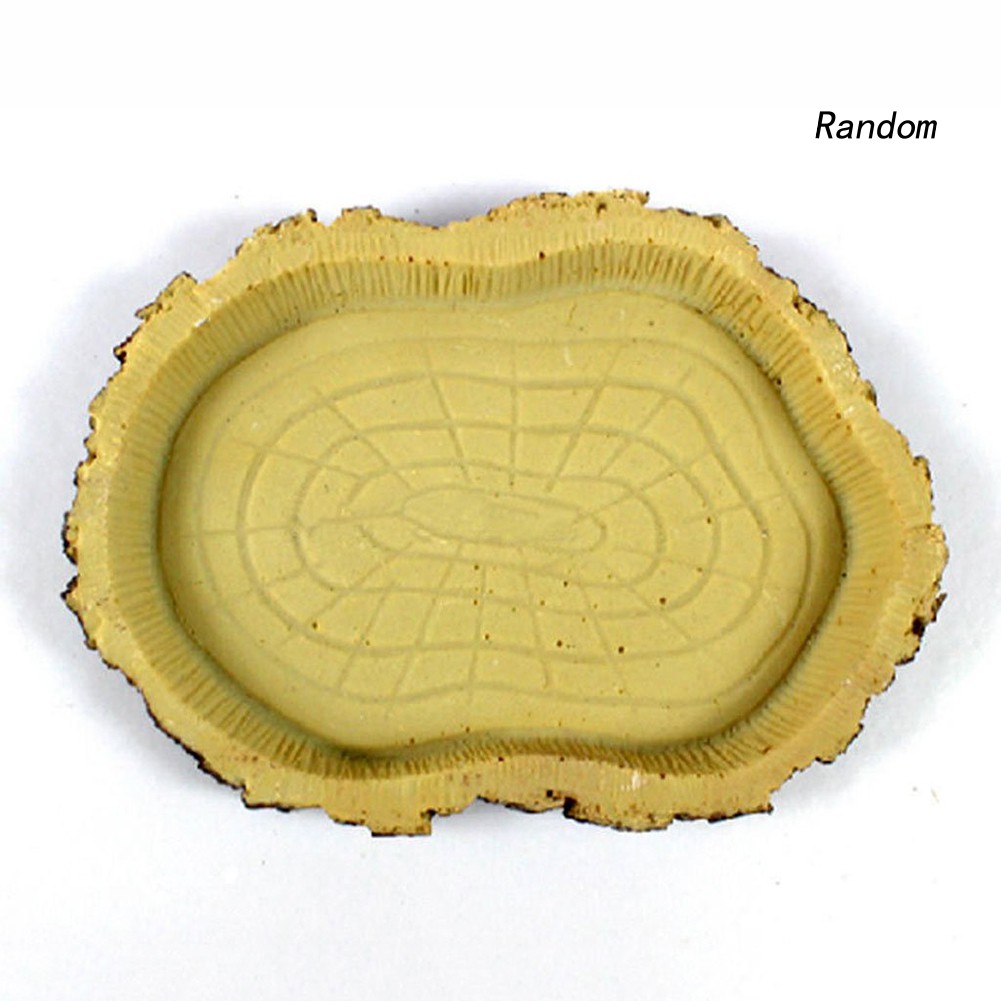 Khay Đựng Thức Ăn Cho Thú Cưng Bò Sát