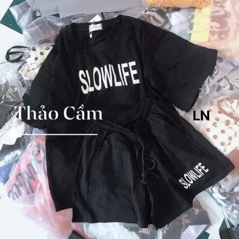 Bộ đùi SLOW LN11