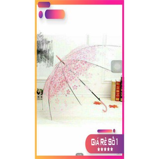 [ SIÊU KHUYẾN MẠI ] Ô dù trong suốt hoa văn 3D.