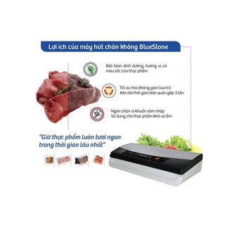 Máy hút chân không Bluestone (Mỹ) VSB-2735 (Bảo hành 24 tháng)