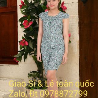 BỘ MARINO HỌA NHÍ