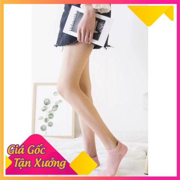 Set 5 Đôi Tất Lưới Nữ Thông Hơi Siêu Thoáng Khí