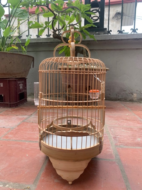 Lồng khuyên trơn loại trắng hàng mau