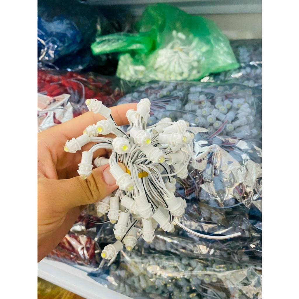 Led Đúc F5 Điện 12V - Dây 50 Bóng loại tốt, bảo hành 1 năm