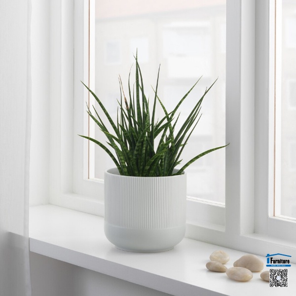 CHẬU TRỒNG CÂY CẢNH GRADVIS IKEA - XÁM NHẠT 15 cm
