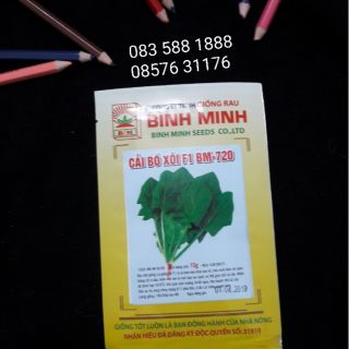 Hạt giống cải bó xôi