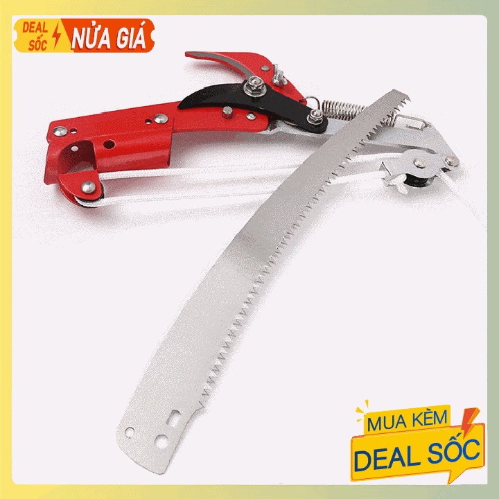 Đầu tỉa cành, cắt cành trên cao kết hợp hái quả (Hàng loại 1)