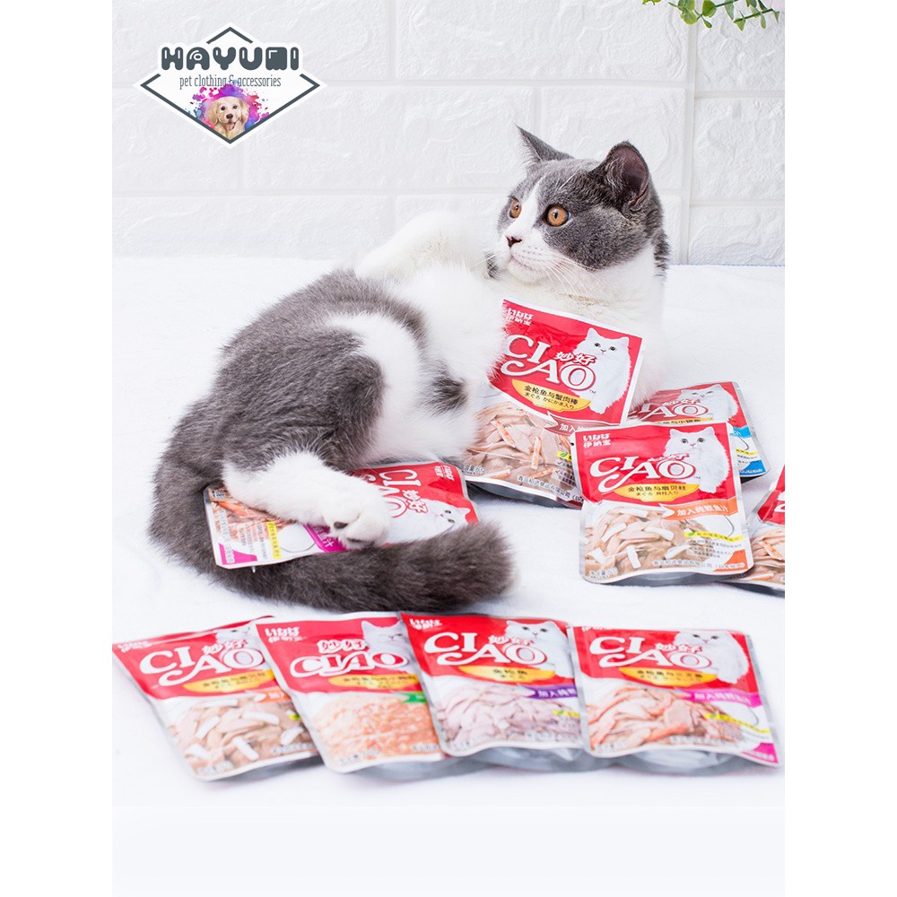 PATE CIAO - SÚP THƯỞNG CHO MÈO GÓI 60G