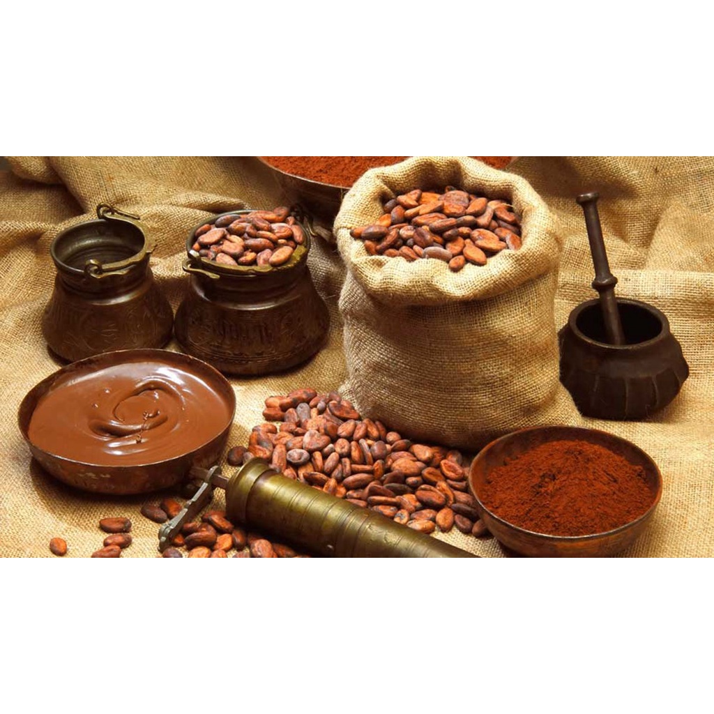 Cacao nguyên chất A Ma Thuột [ 500GR] - Không đường, chống lão hoá, tăng khả năng tập trung.