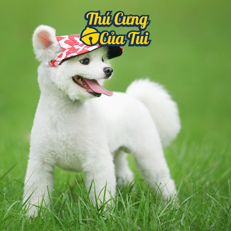 Mũ Nón Lưỡi Trai Cho Thú Cưng Chó Mèo - Thú cưng của tui