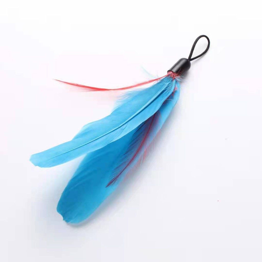 Cat Toy Funny Cat Stick Thép Silk Color Feather Belt Bell Tag Cat Đồ chơi Pet Cat Đào tạo mèo Rod Tương tác tạo tác