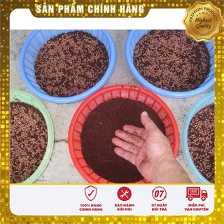 Hạt giống cải bó xôi đỏ ( gói 30 hạt)