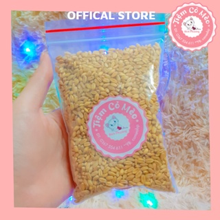 Hạt Giống Cỏ Lúa Mì 30-500gr | Hạt Đại Mạch | Chất Lượng Đảm Bảo Tỷ Lệ Nảy Mầm Cao | Tiệm Cỏ Mèo