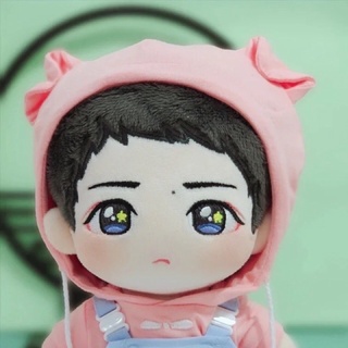 Doll búp bê 20cm-25cm trần vũ wang yibo vương nhất bác