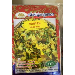 HOA ĐIÊN ĐIỂN BỐN MÙA THÁI LAN