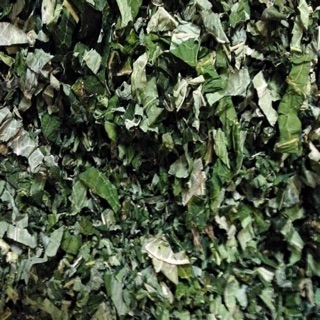 Lá đu đủ đực khô 1kg đẹp