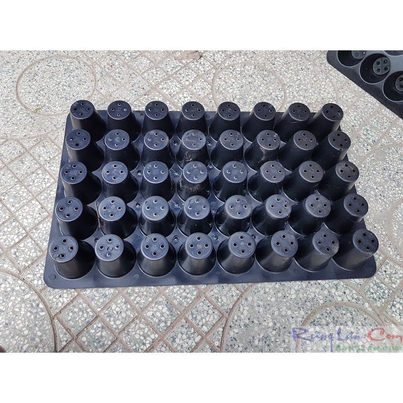 Khay nhựa đa năng phi 4,5cm * 70lỗ, dùng ươm cây con hoặc rau mầm v.v..
