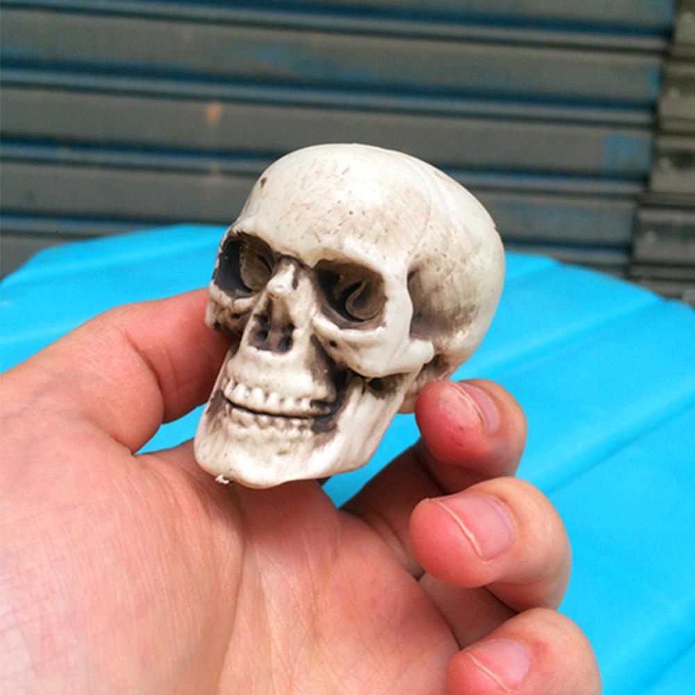 Mô hình đầu lâu mini bằng nhựa trang trí halloween