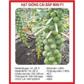 Combo hạt giống TÙY CHỌN!!!