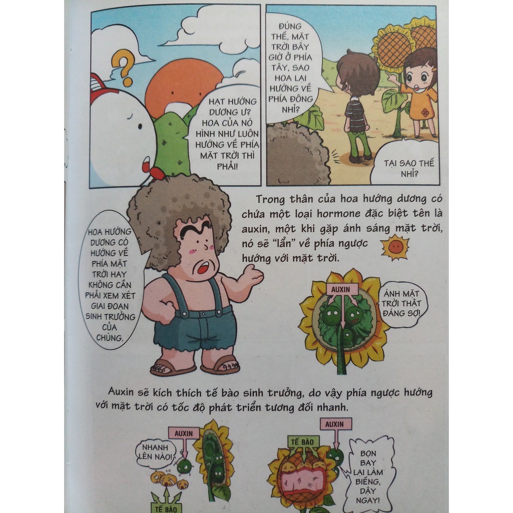 Sách - 10 vạn câu hỏi vì sao cho bé (Nhiều chủ đề)