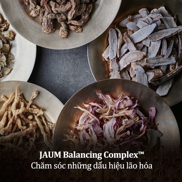 Tinh chất mở dưỡng Sulwhasoo First care activating serum Ex