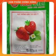 HẠT GIỐNG DÂU TÂY LUCKY GÓI 100 HẠT