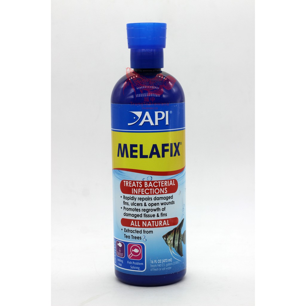 Thuốc kháng khuẩn MELAFIX cho cá cảnh