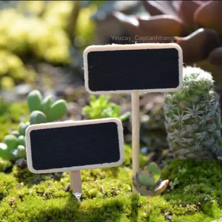[FLASH DEAL] Thẻ gỗ bảng ghi chú - Phụ kiện trang trí tiểu cảnh chậu cây mini terrarium sen đá xương rồng (Ảnh chụp thật