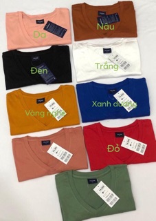 Áo thun cổ tim hiệu Polham xuất Hàn
