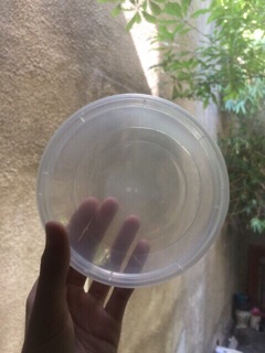 Hộp nhựa 250ml đựng slime, chè