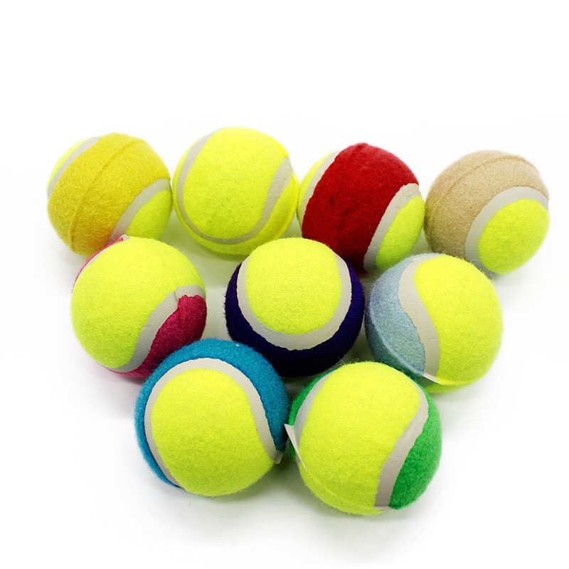 Đồ chơi cho thú cưng bóng tennis – Đồ chơi tương tác quả bóng ném cho chó mèo 0