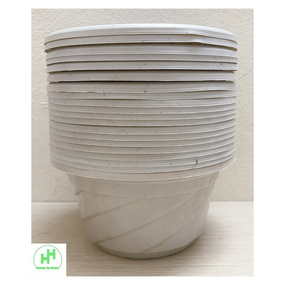 20 Chậu Nhựa Trồng Cây Hoa, Cây Cảnh C180 CN - chậu nhựa Mini C180 CN