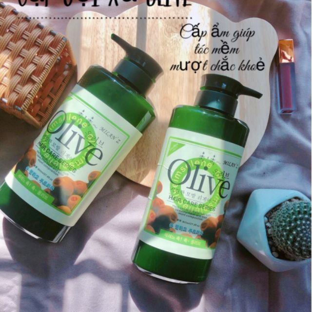 Dầu gội xả Olive Hàn Quốc