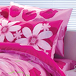 Drap Bọc Nhập Khẩu TOTO TT251