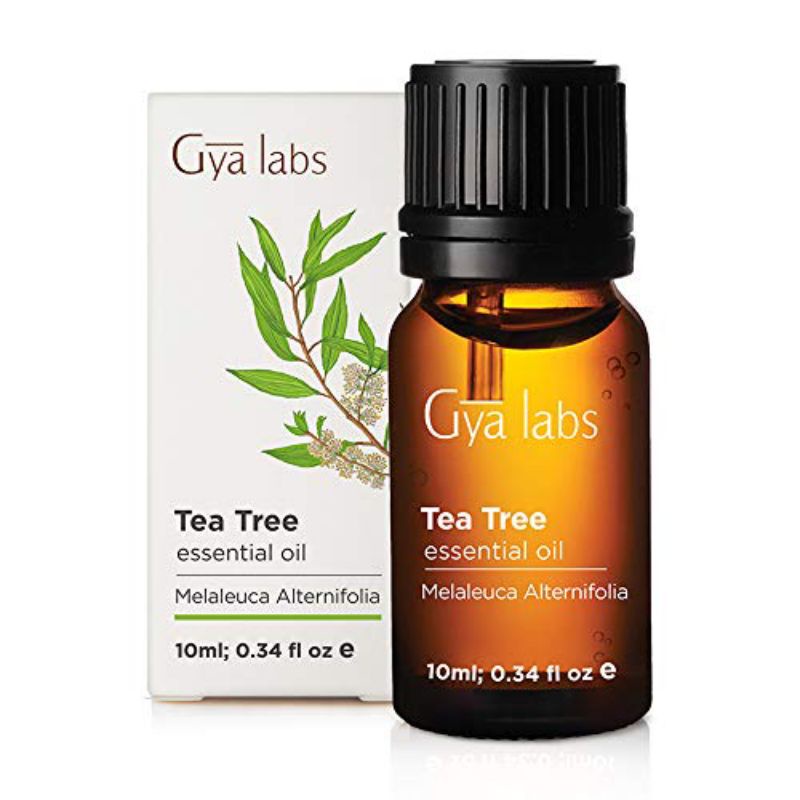 [Hàng Mỹ] Tinh dầu tràm trà Tea Tree Oil Gya Labs nguyên chất 10ml