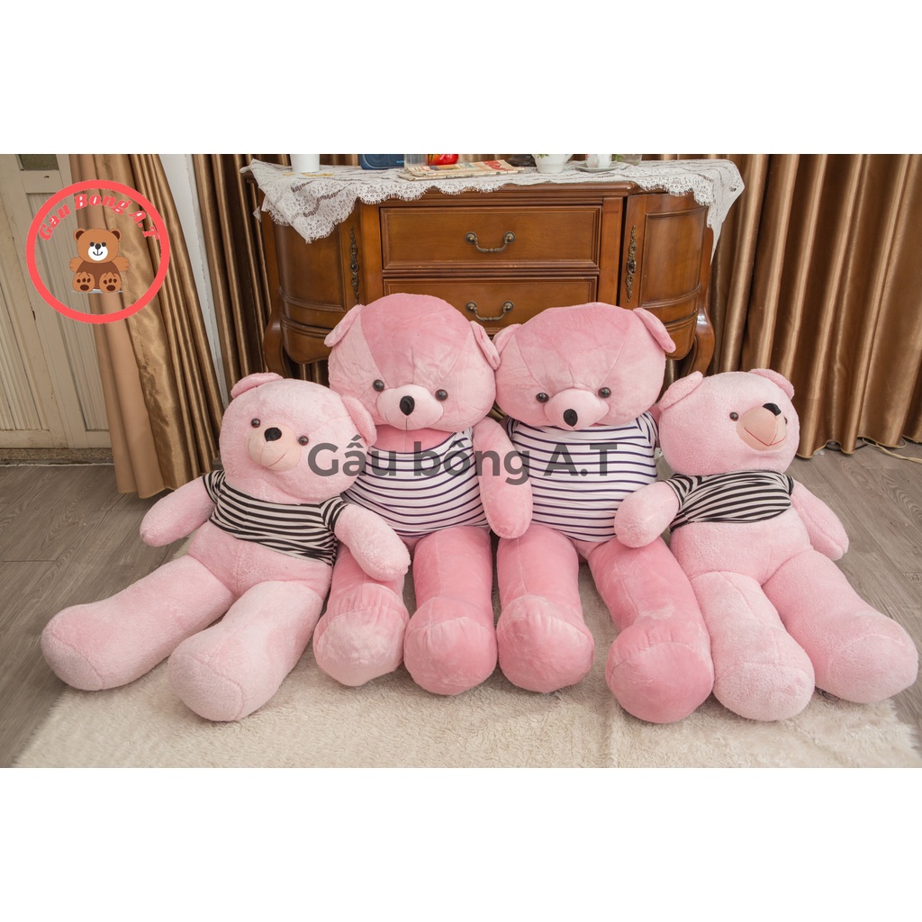 [HOT] Gấu Bông Teddy - Thú Nhồi Bông Teddy Siêu To Màu Hồng_ size 1m2-1m4_ Gấu Bông A.T _AT005