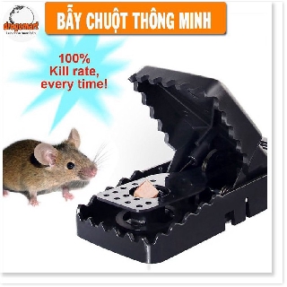 Dụng Cụ Kẹp Bẫy Chuột Thông Minh