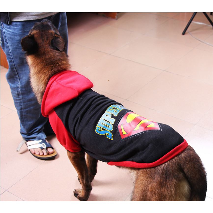 Áo superman cho BOSS to trên 10kg