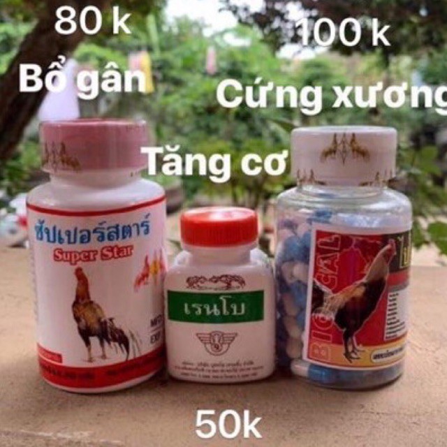 Thuốc phục hồi gân cơ xương, thuốc gà tơ cho gà chọi gà đá